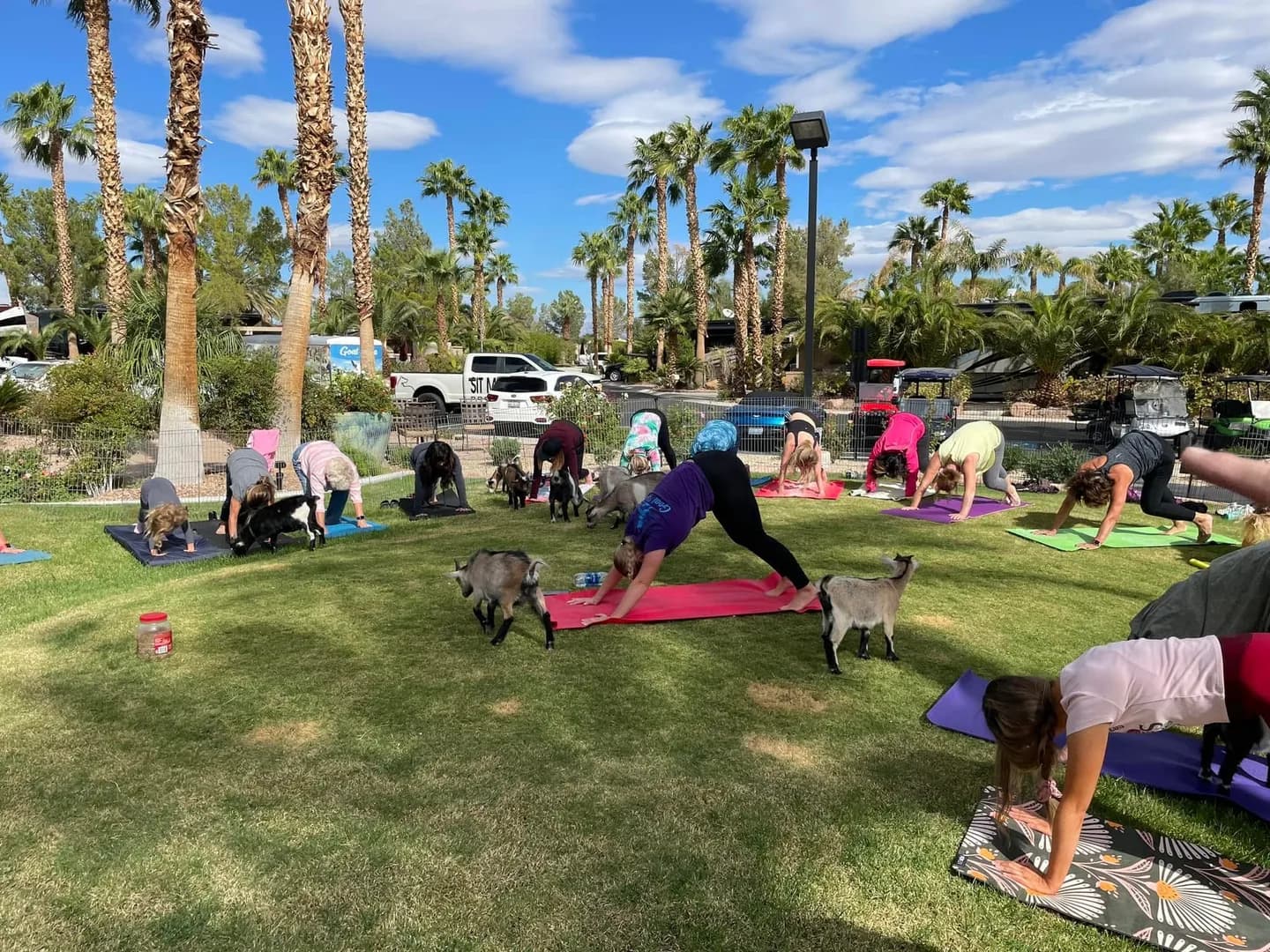 Las Vegas Motorcoach Resort